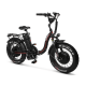 Електрофетбайк Cayman HARD DUAL 3000W 48V 21Ah 20"