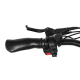 Електрофетбайк Cayman HARD DUAL 3000W 48V 21Ah 20"