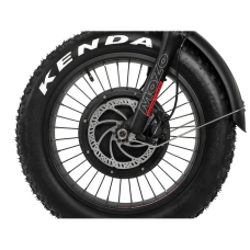 Електрофетбайк Cayman HARD DUAL 3000W 48V 21Ah 20"