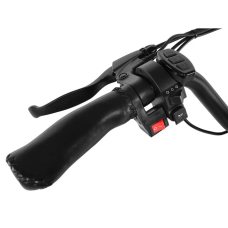 Електрофетбайк Cayman TRIAL DUAL 1500W 48V 17Ah 20"