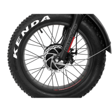 Електрофетбайк Cayman TRIAL DUAL 1500W 48V 17Ah 20"