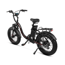Електрофетбайк Cayman PRIME 1000W 48V 21Ah 20"