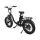 Електрофетбайк Cayman PRIME 1000W 48V 21Ah 20"