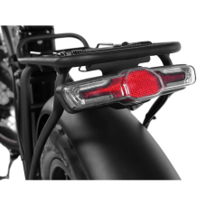 Електрофетбайк Cayman PRIME 1000W 48V 21Ah 20"