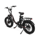 Електрофетбайк Cayman ULTRA DUAL 1750W 48V 21Ah 20"
