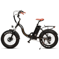 Електрофетбайк Cayman DUAL 1000W 48V 17.4Ah 20"