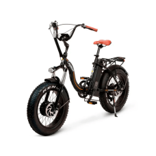 Електрофетбайк Cayman DUAL 1000W 48V 17.4Ah 20"