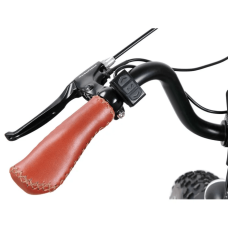Електрофетбайк Cayman DUAL 1000W 48V 17.4Ah 20"