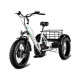 Електровелосипед триколісний Grizzly M5 700W 36V 15Ah 20" 