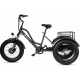 Електровелосипед триколісний Grizzly M5 700W 36V 15Ah 20"