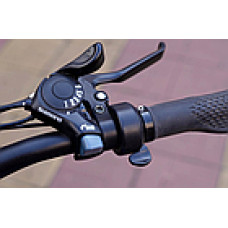 Електровелосипед Skybike Calcutta 500W