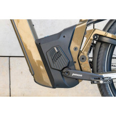 Електровелосипед Riese & Muller Delite 5 GT Pinion 250W