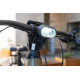 Електровелосипед Riese & Muller Delite 5 GT Pinion 250W