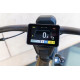 Електровелосипед Riese & Muller Delite 5 GT Pinion 250W
