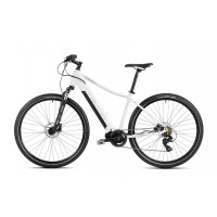 Електровелосипед Romet Orkan MM 1 D 250W