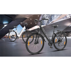 Електровелосипед TTGO C3 SE 250W
