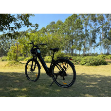 Електровелосипед TTGO C3 SE 250W