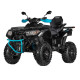 Квадроцикл ACCESS FF800UL Чорний