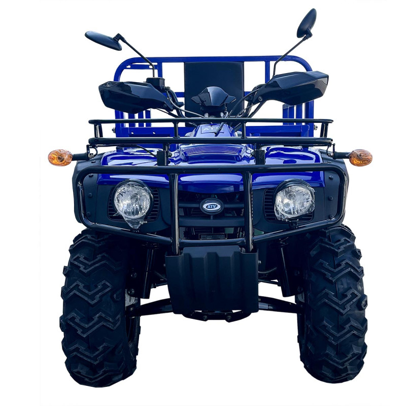 Квадроцикл вантажный Forte ATV-250BS-T Синій