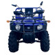 Квадроцикл вантажный Forte ATV-250BS-T Синій