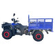 Квадроцикл вантажный Forte ATV-250BS-T Синій