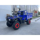 Квадроцикл вантажный Forte ATV-250BS-T Синій