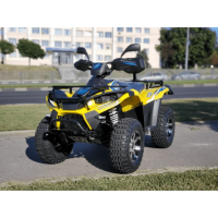 Квадроцикл LINHAI LH40DA 4000W