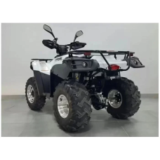 Квадроцикл LINHAI YAMAHA LH300-3D