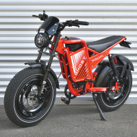 Електрофетбайк PROFI GHOST GS-2003 1000W 48V 20"