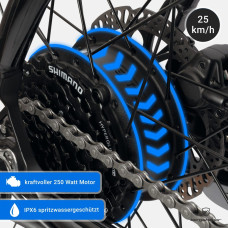 Електровелосипед Bergsteiger Cannock (E-Bike)