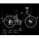 Електровелосипед DYU C6 350W 36V 12.5Ah (26″)