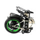 Електрофетбайк Elbike Taiga 2 Twix 1000W 48V 16Ah (20×4″, повний привід)