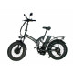 Електрофетбайк E-motions Fat 20 All Mountain Double 2 1000W 48V 18Ah (20×4″, повний привід)