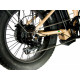 Електрофетбайк E-motions Fat 20 All Mountain Double 2 1000W 48V 18Ah (20×4″, повний привід)