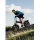 Електровелосипед ENGWE Engine X 250W 48V (20×4″)