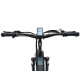 Електрофетбайк Ridstar H20 Pro 2000W 48V 20Ah 20″