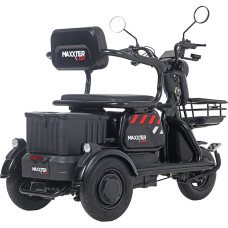 Електроскутер Maxxter ANT Black