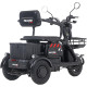 Електроскутер Maxxter ANT Black