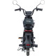 Електровелосипед Maxxter E1000 Gray