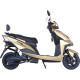 Електроскутер Maxxter SPEEDY GTS Gold