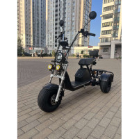 Електровелосипед триколісний EVOBIKE Grizzly X3 PRO 2000W 48V 24Ah (≈15″, вантажний, CityCoco)