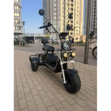 Електровелосипед триколісний EVOBIKE Grizzly X3 PRO 2000W 48V 24Ah (≈15″, вантажний, CityCoco)