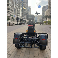 Електровелосипед триколісний EVOBIKE Grizzly X3 PRO 2000W 48V 24Ah (≈15″, вантажний, CityCoco)