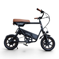 Електровелосипед Windgoo F1 250W 36V 7.5Ah 14"