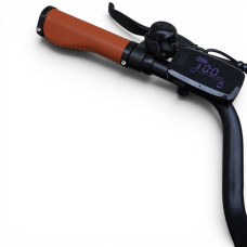 Електровелосипед Windgoo F1 250W 36V 7.5Ah 14"