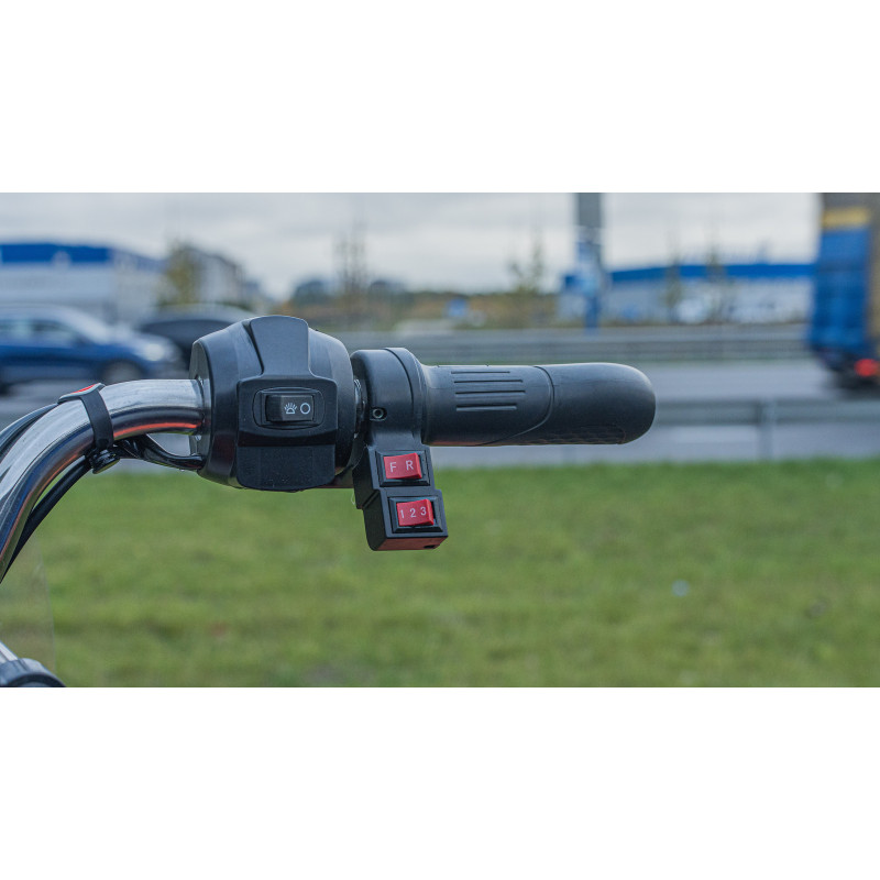 Електротрицикл вантажний FORTE GP-1500-CH (синій) гібрид 1500W