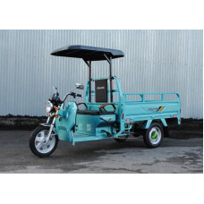 Електротрицикл вантажний Геркулес WJ160 Electro R 1000W 60V 32Ah