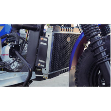 Вантажний трицикл бензиновий FORTE ATV250ZH-T (синій) 250cc