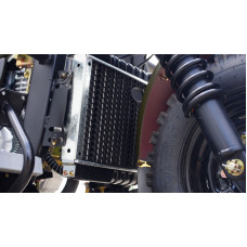 Вантажний трицикл бензиновий FORTE ATV300ZH-T (зелений) 300cc