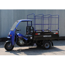 Грузовой трицикл бензиновый Геркулес Q1 200 Tent 200cc